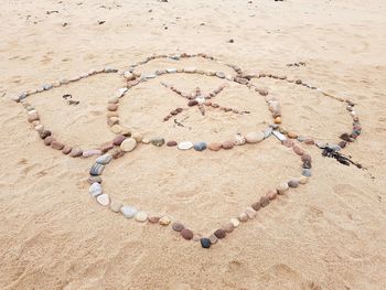 High angle view of flower mandala on sand