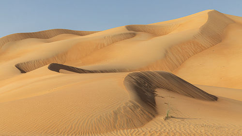 Sundown in desert. desert background.