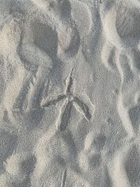 High angle view of a sand