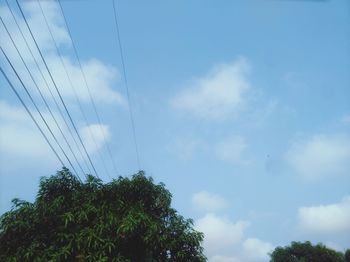 Low angle view of tree against sky