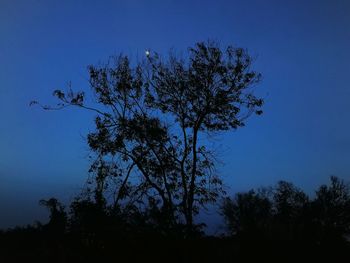 Low angle view of silhouette tree against clear blue sky