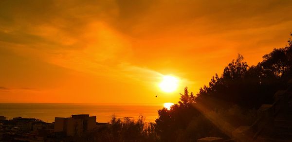 Silhouette trees by sea against orange sky during sunset