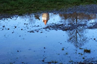 Low section of person standing on puddle