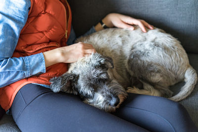 Girl is staying at home with a sleepy pup on the couch