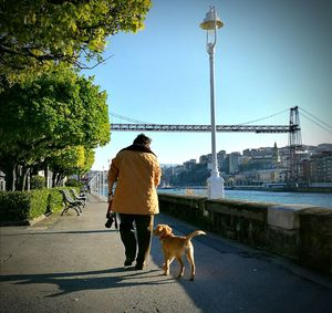 Rear view of man with dog on bridge