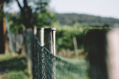 Wooden post fence on field