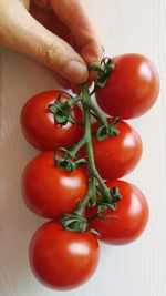 Close-up of hand holding tomatoes on table