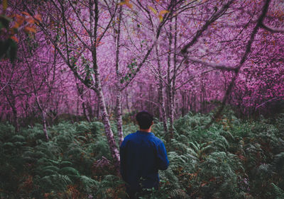 Rear view of man standing by flower trees in forest