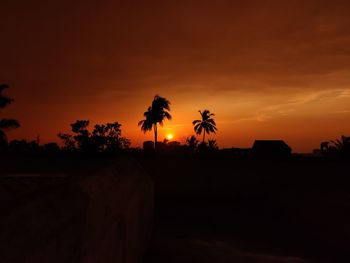 Silhouette palm trees against sky during sunset