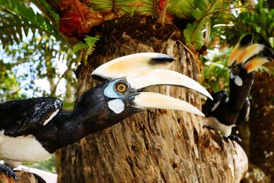 Close-up of bird perching on tree