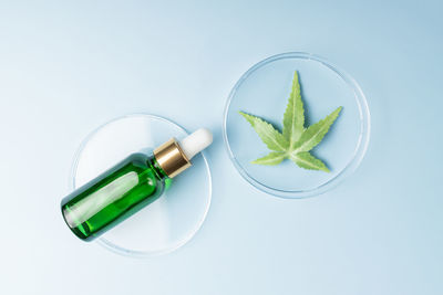 Dropper bottle of essential oil with cannabis tincture. cbd oil cosmetics. alternative medicine. 