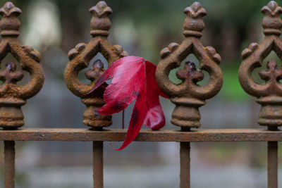 Close-up of rusty metal railing by fence