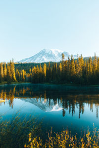 Scenic view of lake by trees against clear sky