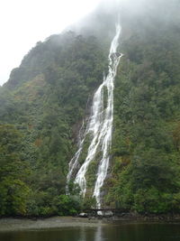 Scenic view of waterfall in forest