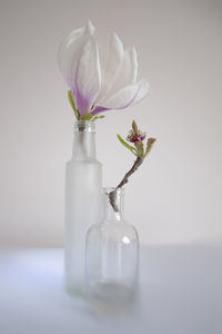 Close-up of flower vase on table