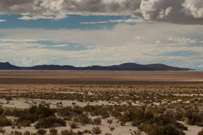 Scenic view of field against cloudy sky