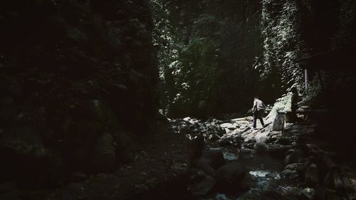 People standing on rock in forest