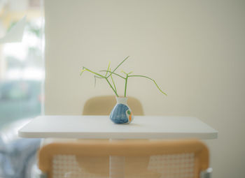 Close-up of small potted plant on table