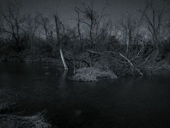 Bare trees by lake in forest against sky