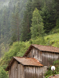 View of wooden house in forest