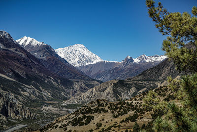 Scenic view of snowcapped mountains against clear blue sky