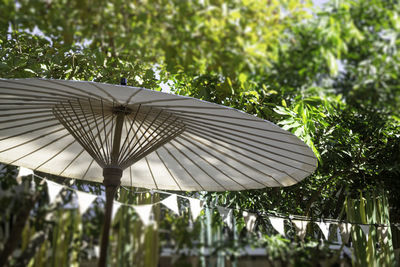 Low angle view of parasol against trees during rainy season