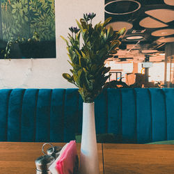 Potted plant on table at home