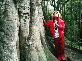 Woman standing on tree trunk