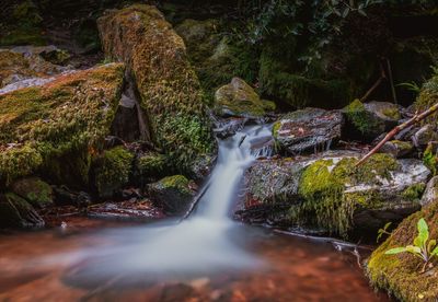 View of waterfall in forest