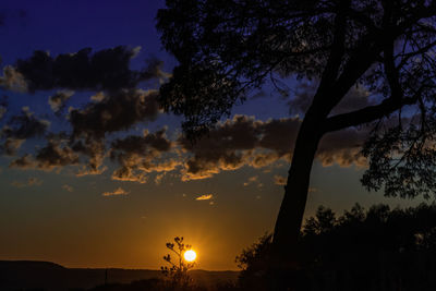 Low angle view of silhouette trees against sky during sunset