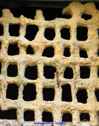 Full frame shot of metal grate