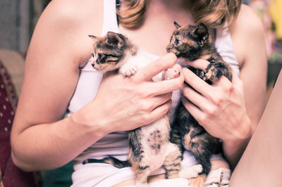 Close-up mid section of a woman holding kittens