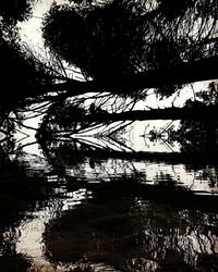 Silhouette tree by lake against sky