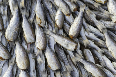 Dried salted fish