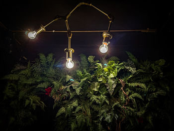 light