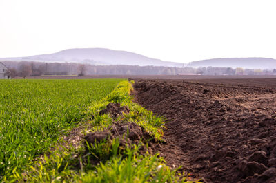 Scenic view of field against clear sky