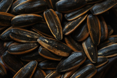 Full frame shot of sun flower seeds 