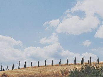 Scenic view of landscape against cloudy sky