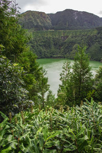 Scenic view of trees and mountains against sky