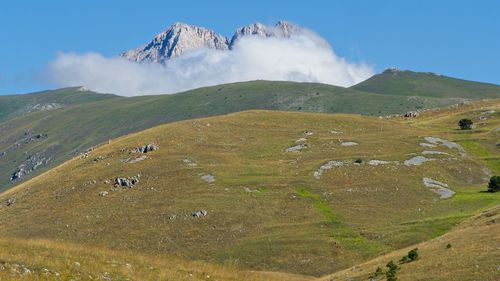 Scenic view of landscape and mountains against sky