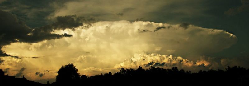 Silhouette of trees against cloudy sky