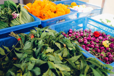 Multi colored flowers for sale in market