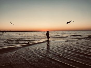 Silhouette woman standing by birds flying over sea during sunset