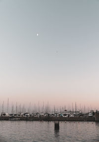Sailboats in sea against clear sky