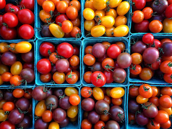 Full frame shot of various tomatoes in containers