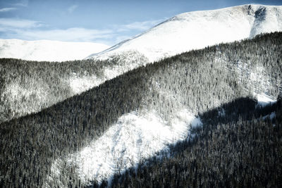 Wide angle of snow-covered mountain slopes with coniferous trees