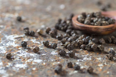 Close-up of spices