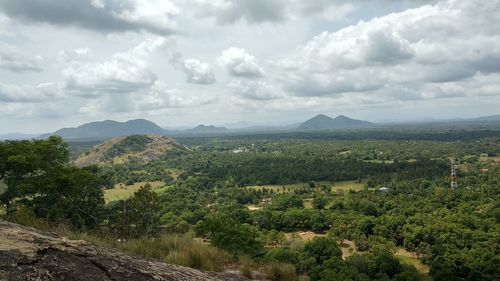 View from a hill