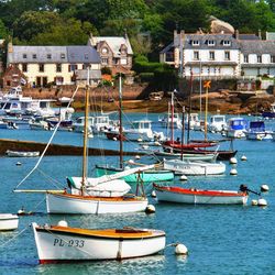 Boats moored in sea at harbor