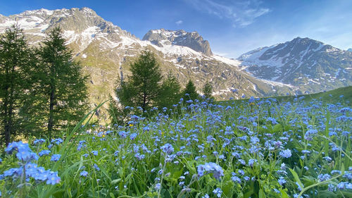 Scenic view of snow covered mountain against sky